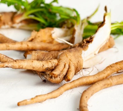 SlimTide™ Chicory Root Inulin